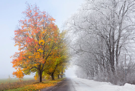 Two seasons on one photo manipulation. Autumn changing to winter scenic landscape. Tree ally with golden autumn leaves on left and winter with snowy trees on right. Change concept.