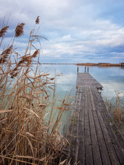 Jetty on the lake with reed in winter
