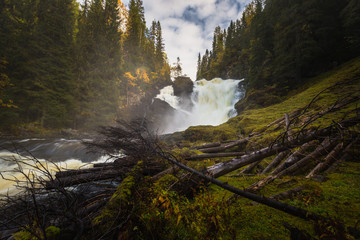 Big waterfall in boreal woodlands in Norway.