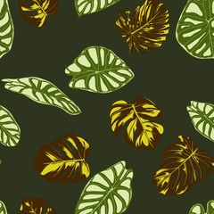 Seamless Exotic Pattern with Tropical Plants. Vector Background with Hand Draw Monstera Palm Leaves. Bright Rapport for Cloth, Textile Design. Jungle Foliage. Seamless Tropical Pattern with Alocasia.