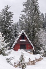 log cabin in snow wood