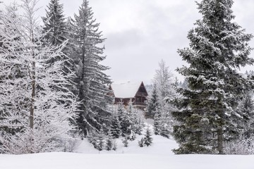 National park Tara winter landscape.