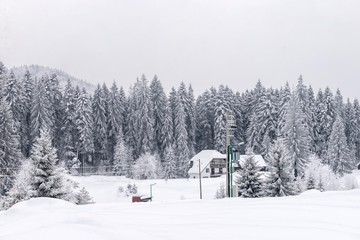 National park Tara winter landscape.