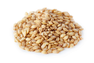 Barley grain (Hordeum vulgare) isolated on white background