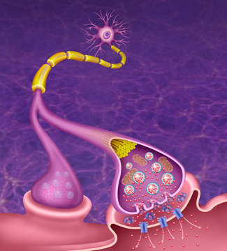 Sinapsis Dopamina y enfermedad de Parkinson