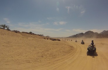  quads traveling through the desert of egypt