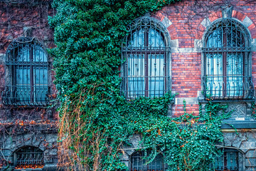 Incredibly fabulous walls of the Wroclaw National Museum are covered with wicker bushes, mystical...