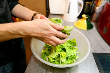 Close up of female hands and woman preparing green salad, cooking in kitchen. Housewife slicing and prepared fresh salad. Chef cutting greens in plastic bowl. Vegetarian and healthy cooking concept.