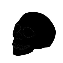 Black human skull isolated on white background, vector eps 10