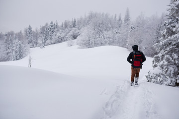 Hiker walking along a snow covered forest path in winter