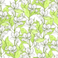 Floral seamless pattern. Watercolor background with white flowers and green leaves