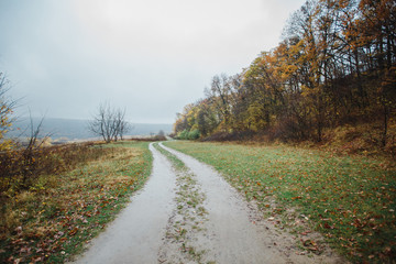 road in the forest