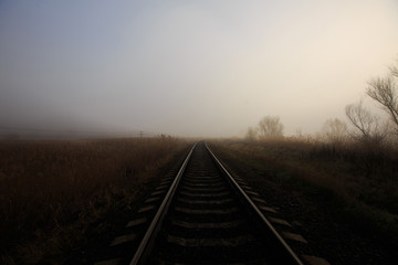 Fototapeta premium train tracks in fog