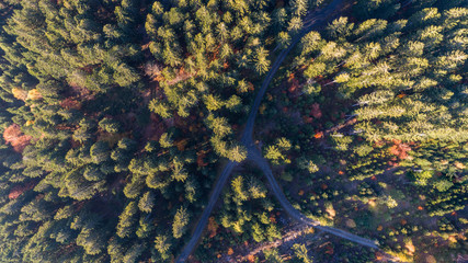 Sommerlandschaft von Oben mit zwei Straßen die sich trennen