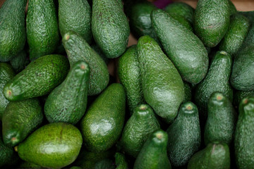 fresh cucumbers in the market