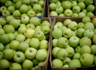 green apples in box
