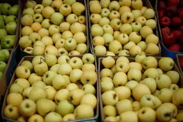 white apple in the market