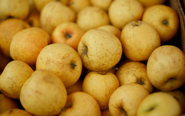 white apple in the box