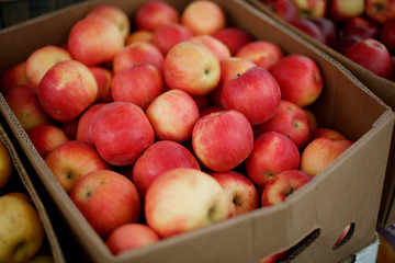 red apples in a box