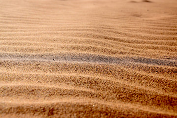 Desert sand (macro, closeup, texture)