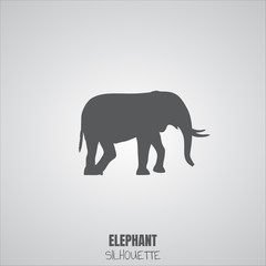 Elephant icon