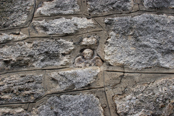 Angel in the wall