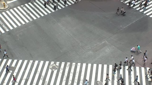 SHIBUYA,  TOKYO,  JAPAN - CIRCA APRIL 2018 : Aerial view of SHIBUYA scramble crossing.  Busy crowded area in Tokyo.