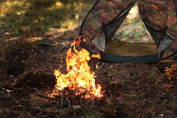 hot fire flame/ fire