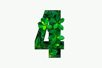 Nature concept alphabet of green leaves in number four shape 