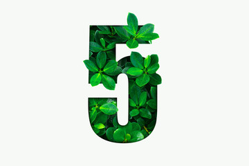 Nature concept alphabet of green leaves in number five shape 