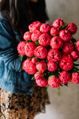 Very nice young woman holding huge beautiful blossoming mom bouquet of fresh coral sunset Peonies on the grey wall background 