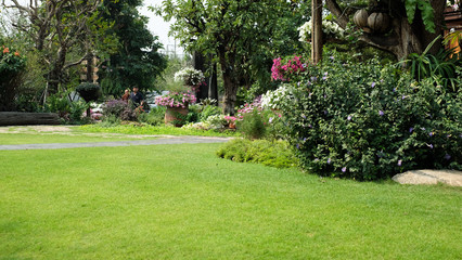 Green lawns and  artificial wood pathways in garden have flowers and trees growing