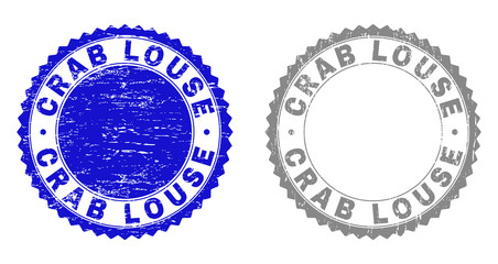 Grunge CRAB LOUSE stamp seals isolated on a white background. Rosette seals with distress texture in blue and grey colors. Vector rubber stamp imprint of CRAB LOUSE tag inside round rosette.