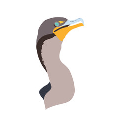 Florida Everglades National Park Cormorant Detailed Vector Design - Logo, Bumper Sticker Idea