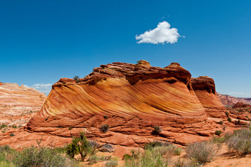 Fototapeta premium The Wave USA