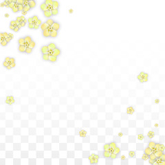 Vector Realistic Yellow Flowers Falling on Transparent Background.  Spring Romantic Flowers Illustration. Flying Petals. Sakura Spa Design. Blossom Confetti. Design Elements for Wedding Decoration.