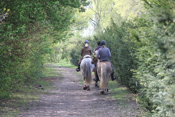 reiten