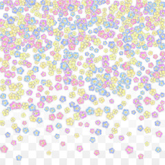 Colorful Vector Realistic Petals Falling on Transparent Background.  Spring Romantic Flowers Illustration. Flying Petals. Sakura Spa Design. Blossom Confetti. Design Elements for Wedding Decoration.