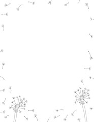 Dmuchawce © ZYTA.eM