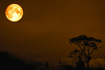 full blood moon over silhouette tree in field night sky
