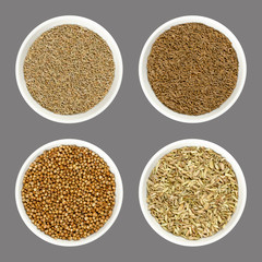 Anise, caraway, coriander and fennel seeds in white bowls. Also aniseed, Persian cumin or cilantro. Dried spices to flavor bread and for herbal medicine. Food photo, closeup, from above, over gray.