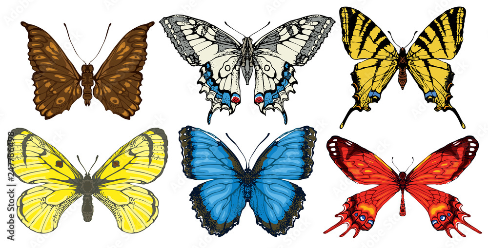 Poster collection of various butterflies in retro style. set of realistic colorful drawings of butterflies.