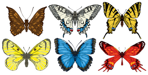 Collection of various butterflies in retro style. Set of realistic colorful drawings of butterflies. Vector illustrations isolated on the white background