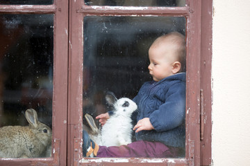 Cute little baby boy, playing with pet rabbits, sitting on vintage window
