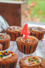 colorful cupcakes with a 4 year birthday candle pink for a girl 