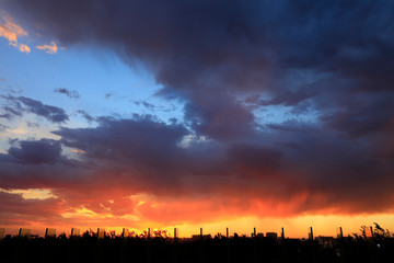 Naklejka premium evening clouds