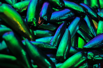Blurry abstract green turquoise blue iridescent jewelry beetle wings pattern background