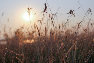 Sunset with love moment