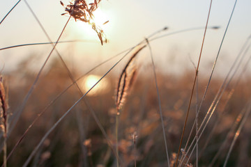 Sunset with love moment