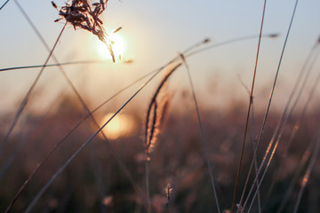 Sunset with love moment